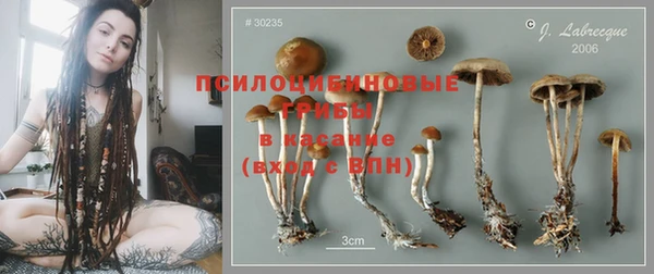дурь Балабаново