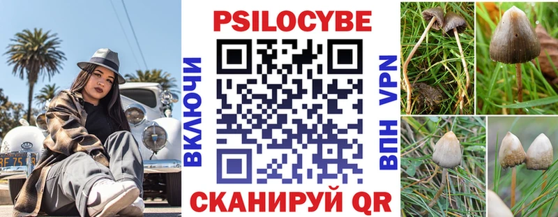 Псилоцибиновые грибы MAGIC MUSHROOMS  купить   omg онион  Лаишево 